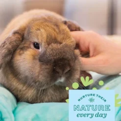 Oxbow Enriched Life Stretch 'n Snuggle Small Pet Toy -MiniMates Shop 782350 PT4. AC SS1800 V1678998330