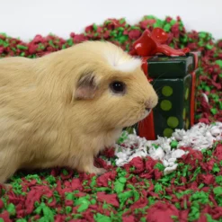 Carefresh Special Edition Holiday Small Pet Bedding -MiniMates Shop 790910 PT4. AC SS1800 V1680270619