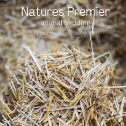 Natures Premier Small Animal Bedding, 6-lb Bag -MiniMates Shop 812942 PT3. AC SS1800 V1682450479