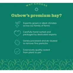 Oxbow Prime Cut Hearty & Crunchy Timothy Hay Small Pet Food, 80-oz Bag 15 Oxbow Prime Cut Hearty & Crunchy Timothy Hay Small Pet Food, 80-oz Bag -MiniMates Shop 816062 PT6. AC SS1800 V1684788117