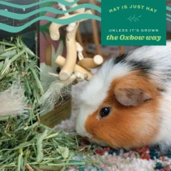 Oxbow Prime Cut Soft & Lush Timothy Hay Small Pet Food, 20-oz Bag -MiniMates Shop 816142 PT7. AC SS1800 V1685132084