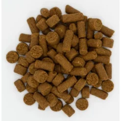 Oxbow Real Prey Rewards Crunchy & Chewy Turkey Ferret Treats, 3-oz -MiniMates Shop 816158 PT2. AC SS1800 V1692300085