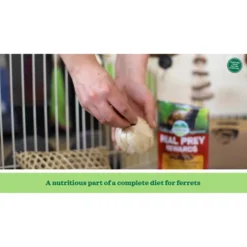 Oxbow Real Prey Rewards Crunchy & Chewy Turkey Ferret Treats, 3-oz -MiniMates Shop 816158 PT8. AC SS1800 V1690469774