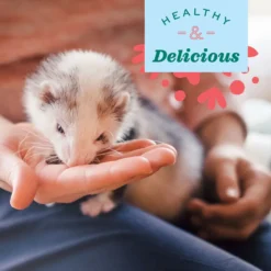 Oxbow Real Prey Rewards Crunchy & Chewy Chicken Ferrets Treats, 3-oz -MiniMates Shop 816174 PT7. AC SS1800 V1692383387