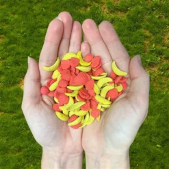 Exotic Nutrition Crunchez Apple & Banana Small Pet Treats, 2.5-oz Bag -MiniMates Shop 816590 PT3. AC SS1800 V1686057878