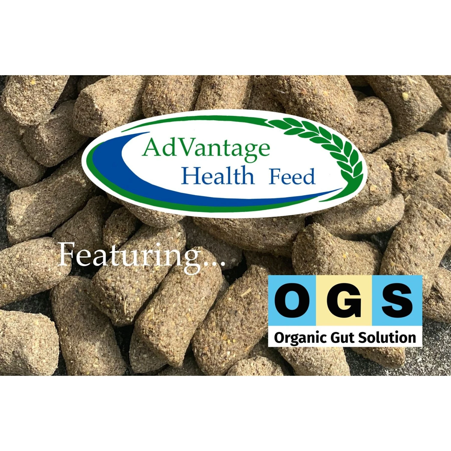 AgSolv Feed Health Rodent 18% Grower & Breeder Small Pet Food 6 AgSolv Feed Health Rodent 18% Grower & Breeder Small Pet Food - Image 6