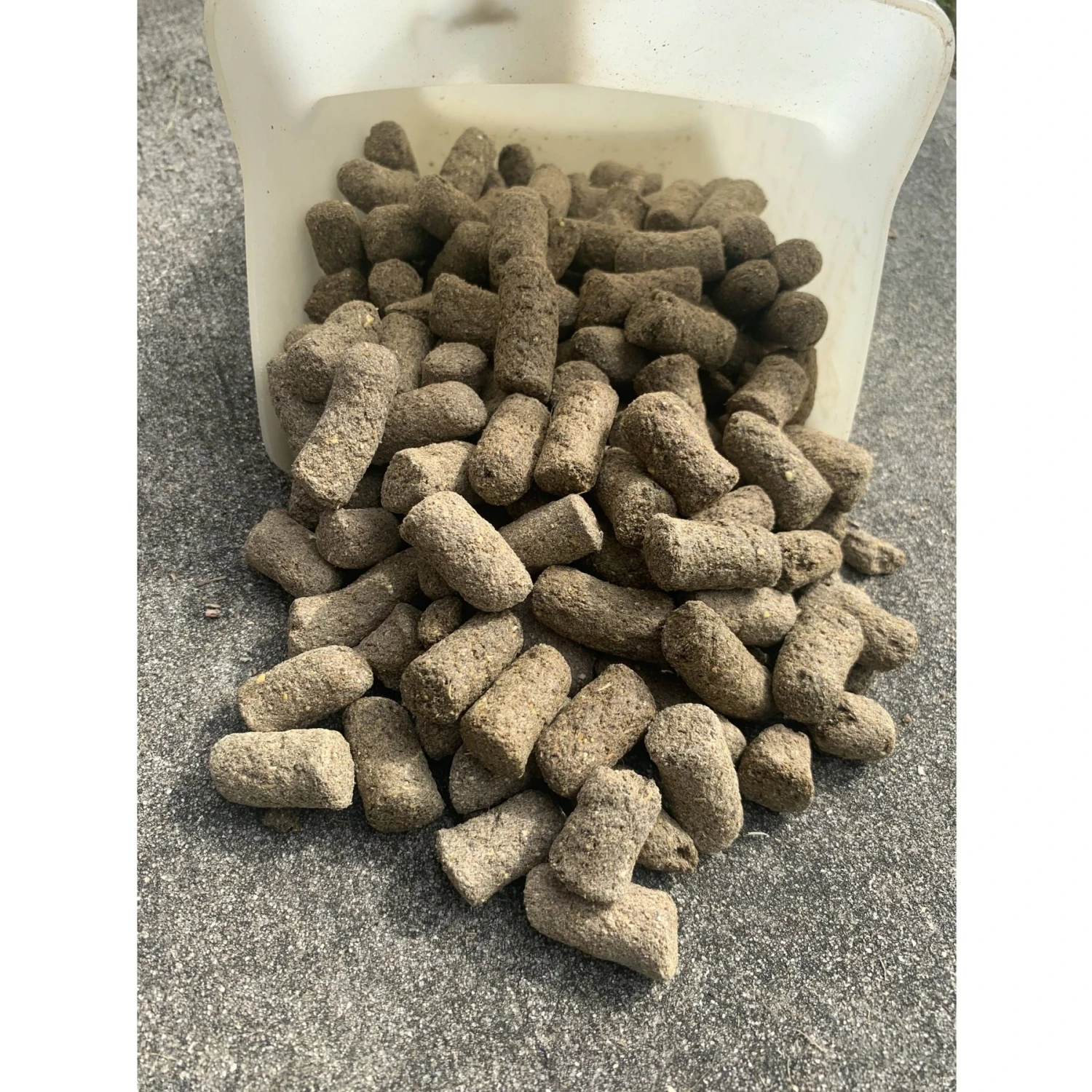 AgSolv Feed Health Rodent 18% Grower & Breeder Small Pet Food 7 AgSolv Feed Health Rodent 18% Grower & Breeder Small Pet Food - Image 7