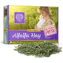 Small Pet Select Alfalfa Hay Small Pet Food