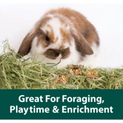 Kaytee Granola Small Animal Bites With Superfoods Cranberry Apple & Flax Small Pet Treats, 4.5-oz Bag 7 Kaytee Granola Small Animal Bites With Superfoods Cranberry Apple & Flax Small Pet Treats, 4.5-oz Bag -MiniMates Shop 866190 PT2. AC SS1800 V1692211312