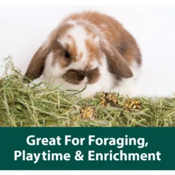 Kaytee Granola Small Animal Bites With Superfoods Spinach & Carrot Small Pet Treats, 4.5-oz Bag 7 Kaytee Granola Small Animal Bites With Superfoods Spinach & Carrot Small Pet Treats, 4.5-oz Bag -MiniMates Shop 866206 PT2. AC SS1800 V1692210113