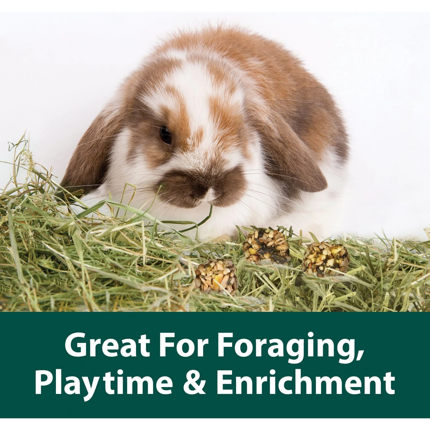 Kaytee Granola Small Animal Bites With Superfoods Spinach & Carrot Small Pet Treats, 4.5-oz Bag 3 Kaytee Granola Small Animal Bites With Superfoods Spinach & Carrot Small Pet Treats, 4.5-oz Bag - Image 3