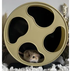 Exotic Nutrition Silent Runner Wheel 9-in Small Pet Toy, Cream 14 Exotic Nutrition Silent Runner Wheel 9-in Small Pet Toy, Cream -MiniMates Shop 919246 PT5. AC SS1800 V1693574882