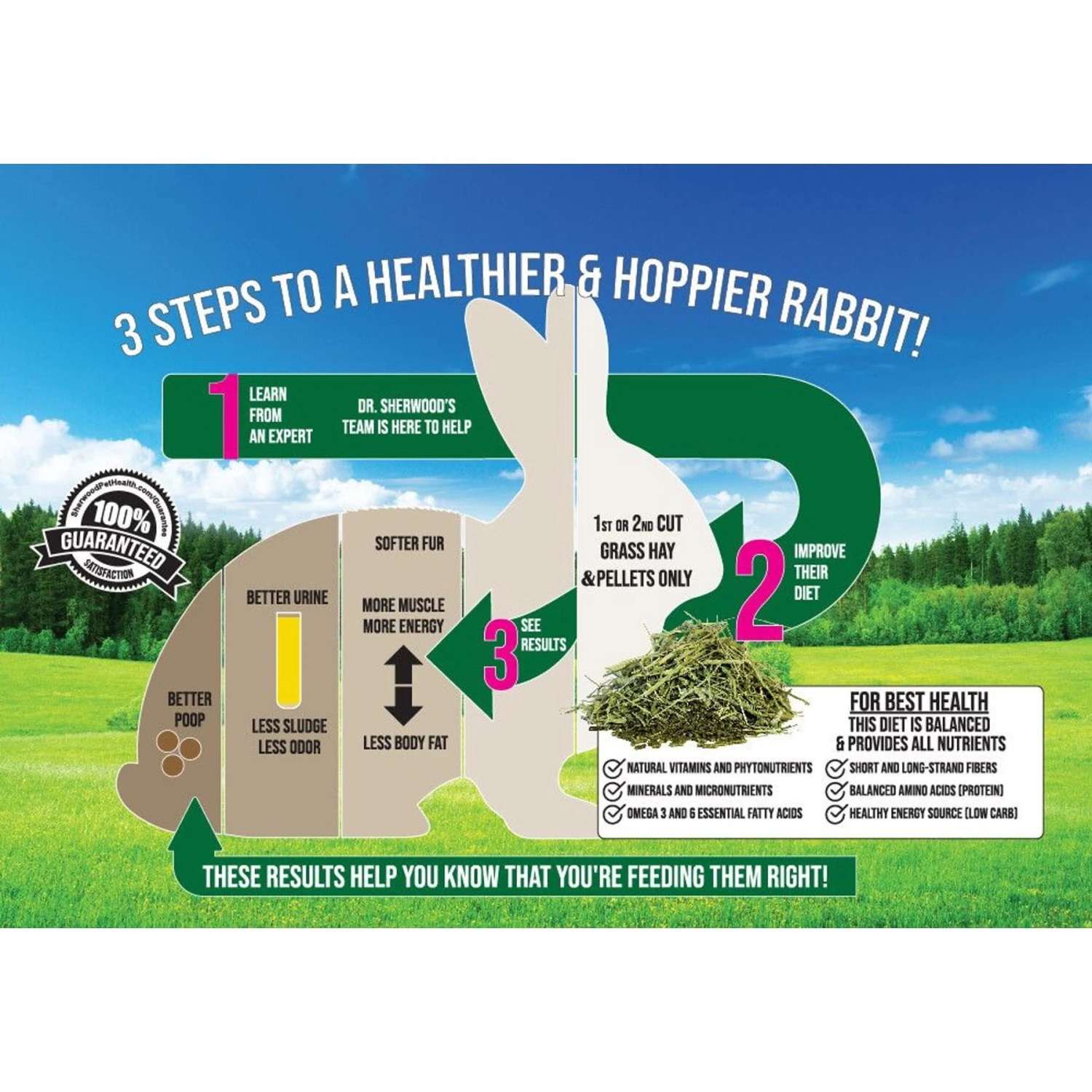 Sherwood Pet Health Adult Free Choice Timothy Rabbit Food, 4.5-lb Bag 4 Sherwood Pet Health Adult Free Choice Timothy Rabbit Food, 4.5-lb Bag - Image 4