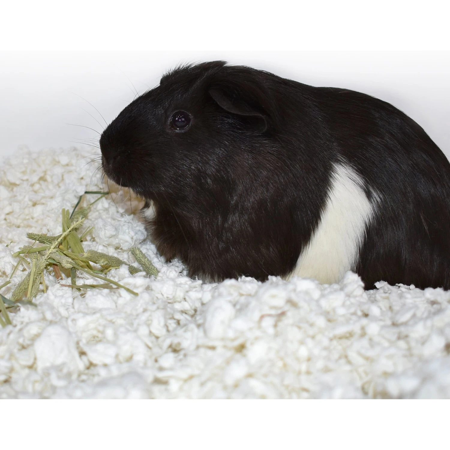 Carefresh Small Animal Nesting 4 Carefresh Small Animal Nesting - Image 4