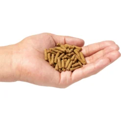 Marshall Select Chicken Formula Ferret Food 8 Marshall Select Chicken Formula Ferret Food -MiniMates Shop 95156 PT2. AC SS1800 V1679514537