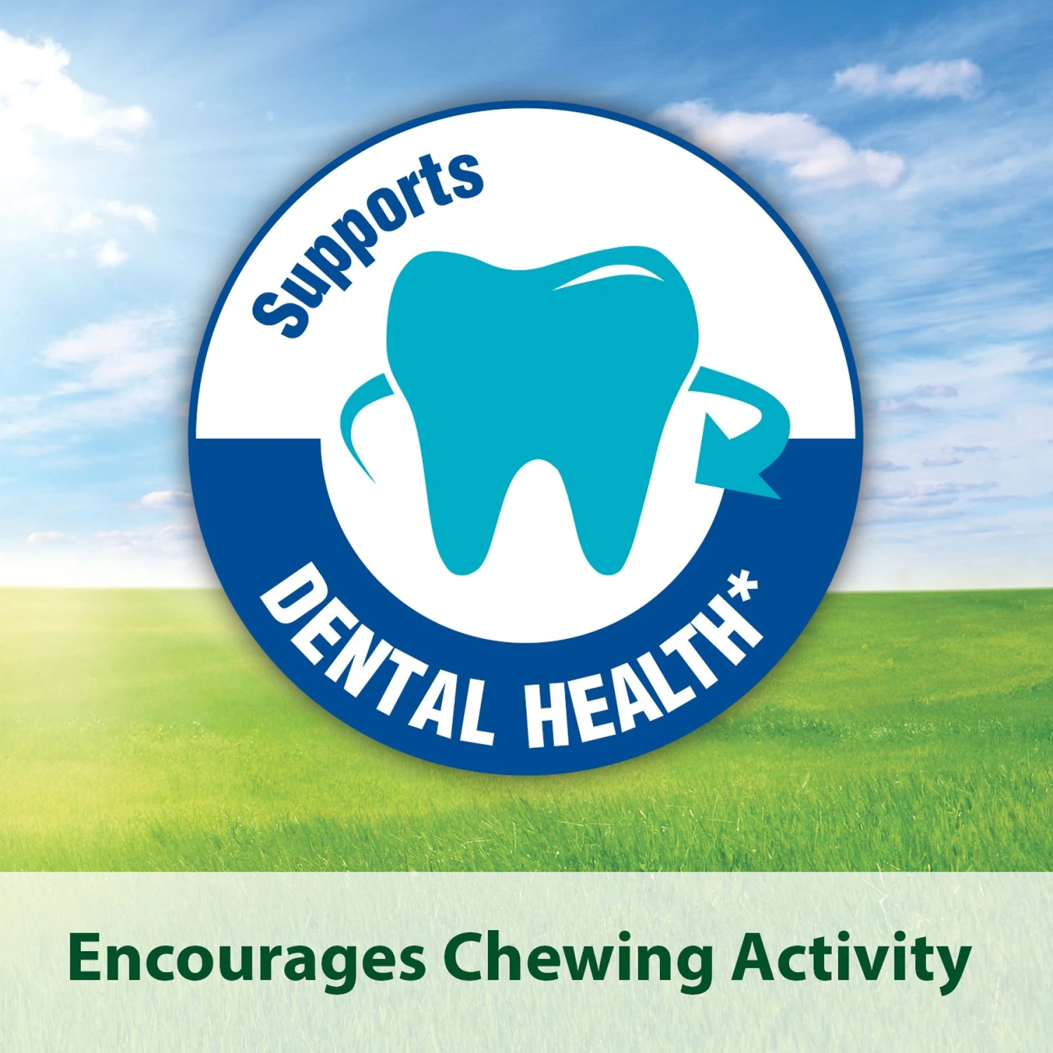 Kaytee Baked Apple Timothy Biscuit Small Animal Treats 7 Kaytee Baked Apple Timothy Biscuit Small Animal Treats - Image 7