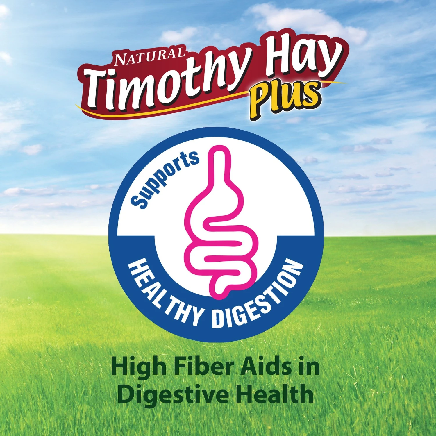 Kaytee Timothy Hay Plus Carrots Small Animal Treat 7 Kaytee Timothy Hay Plus Carrots Small Animal Treat - Image 7