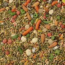 Kaytee Fiesta Gourmet Variety Diet Chinchilla Food -MiniMates Shop 95483 PT4. AC SS1800 V1692209273