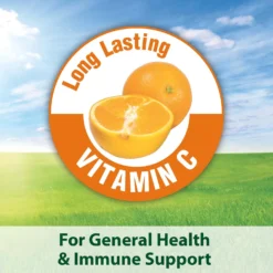 Kaytee Fiesta Gourmet Variety Diet Guinea Pig Food -MiniMates Shop 95489 PT7. AC SS1800 V1607737929