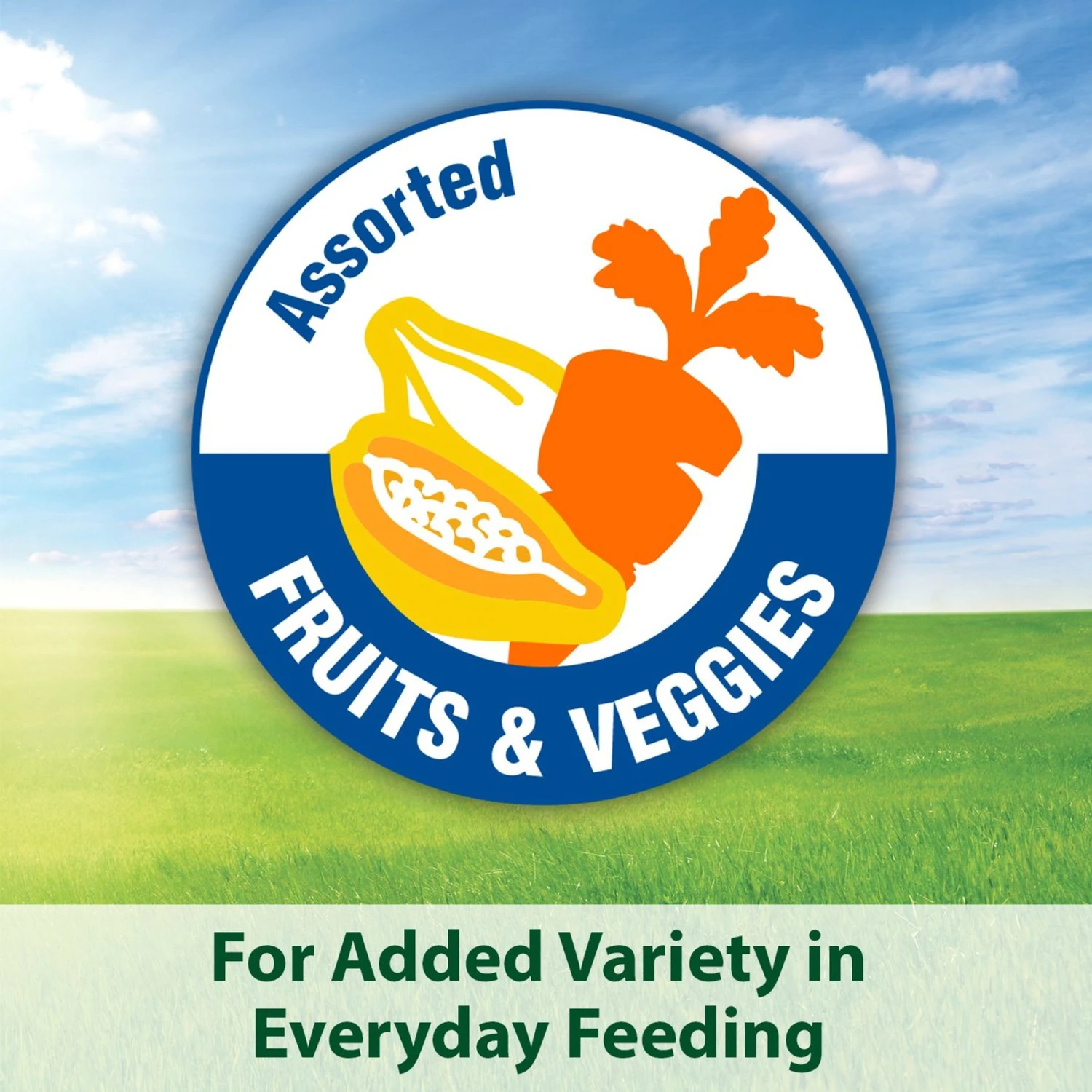 Kaytee Fiesta Gourmet Variety Diet Gerbil & Hamster Food 6 Kaytee Fiesta Gourmet Variety Diet Gerbil & Hamster Food - Image 6