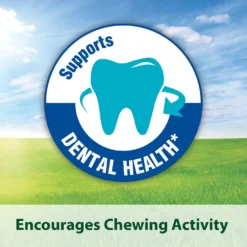 Kaytee Fiesta Gourmet Variety Diet Mouse & Rat Food -MiniMates Shop 95501 PT3. AC SS1800 V1591017993