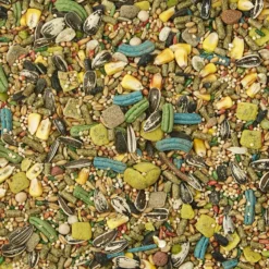 Kaytee Forti-Diet Pro Health Gerbil & Hamster Food -MiniMates Shop 95517 PT2. AC SS1800 V1591018018