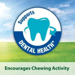 Kaytee Forti-Diet Pro Health Chinchilla Food -MiniMates Shop 95525 PT2. AC SS1800 V1692208785