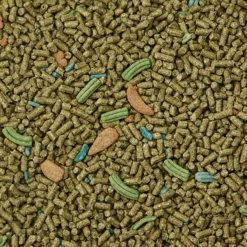 Kaytee Forti-Diet Pro Health Guinea Pig Food -MiniMates Shop 95531 PT4. AC SS1800 V1693419655