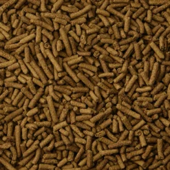 Kaytee Fortified Diet With Real Chicken Ferret Food -MiniMates Shop 95544 PT2. AC SS1800 V1679080028