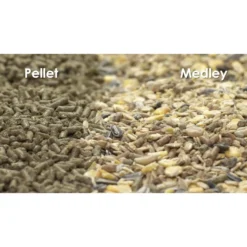 Kaytee Fortified Diet With Real Chicken Ferret Food -MiniMates Shop 95544 PT3. AC SS1800 V1679080846