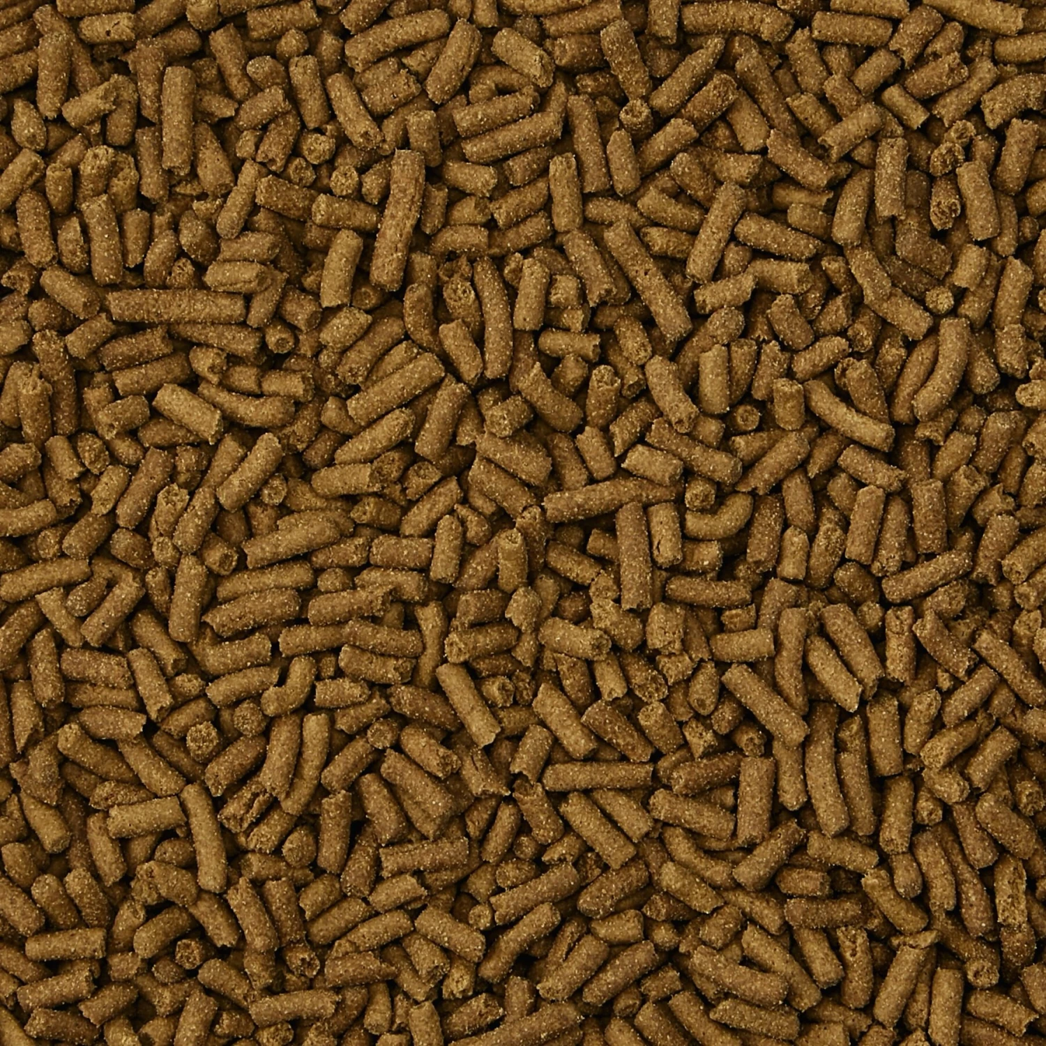 Kaytee Fortified Diet With Real Turkey Ferret Food 4 Kaytee Fortified Diet With Real Turkey Ferret Food - Image 4