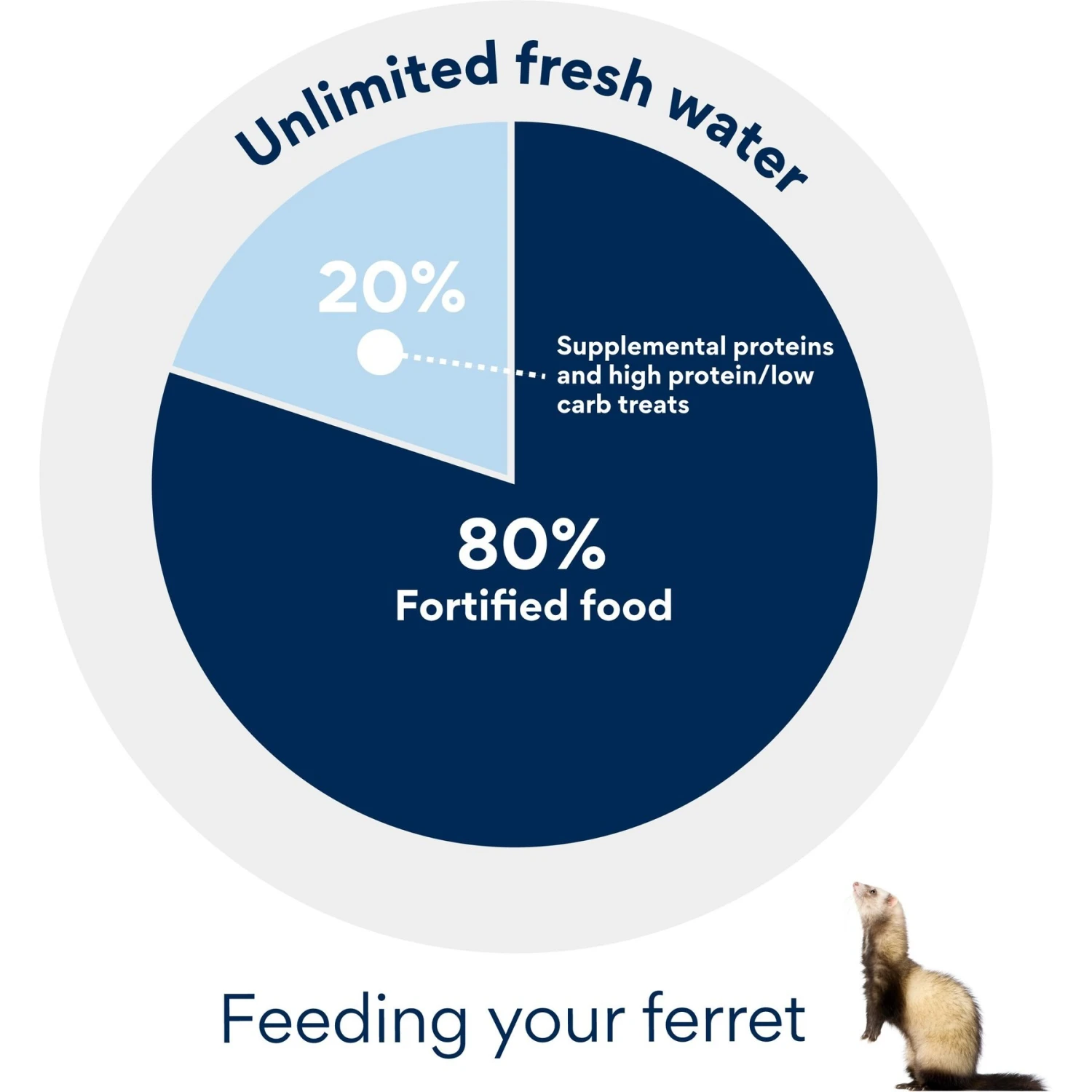 Kaytee Fortified Diet With Real Turkey Ferret Food 5 Kaytee Fortified Diet With Real Turkey Ferret Food - Image 5