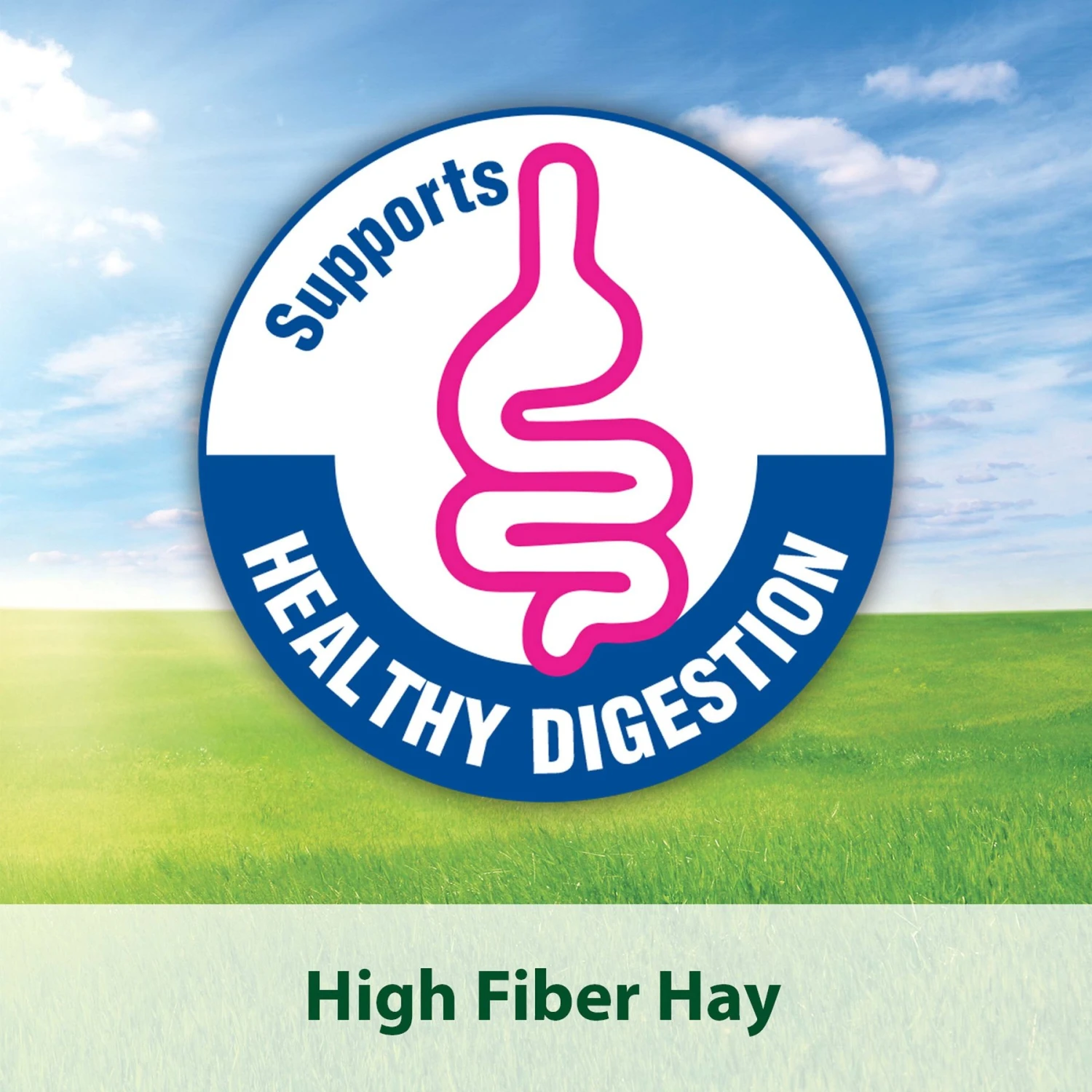 Kaytee Natural Timothy Hay Small Animal Food 9 Kaytee Natural Timothy Hay Small Animal Food - Image 9