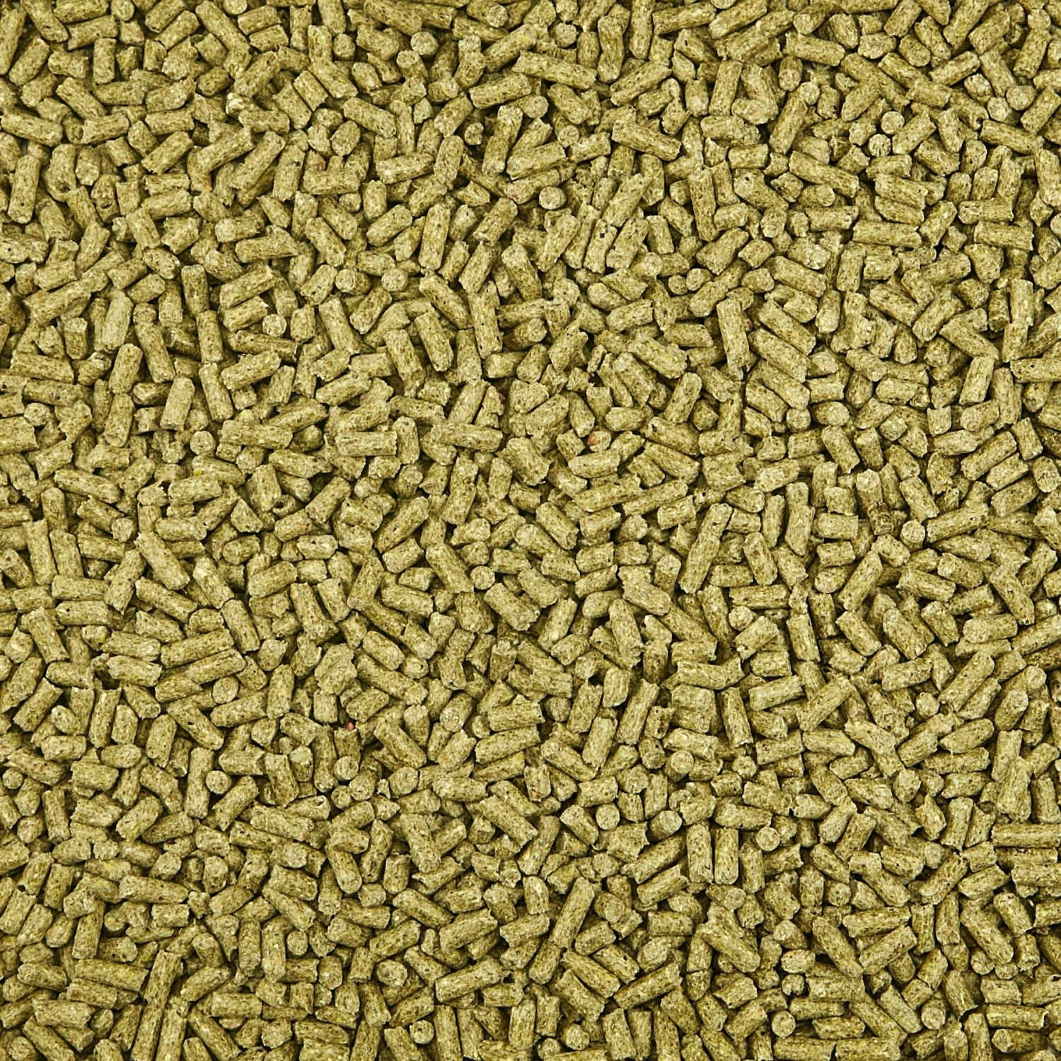 Kaytee Supreme Diet Guinea Pig Food 3 Kaytee Supreme Diet Guinea Pig Food - Image 3