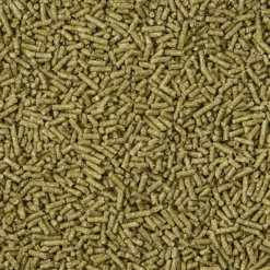 Kaytee Timothy Complete Chinchilla Food 10 Kaytee Timothy Complete Chinchilla Food -MiniMates Shop 95598 PT2. AC SS1800 V1613058442