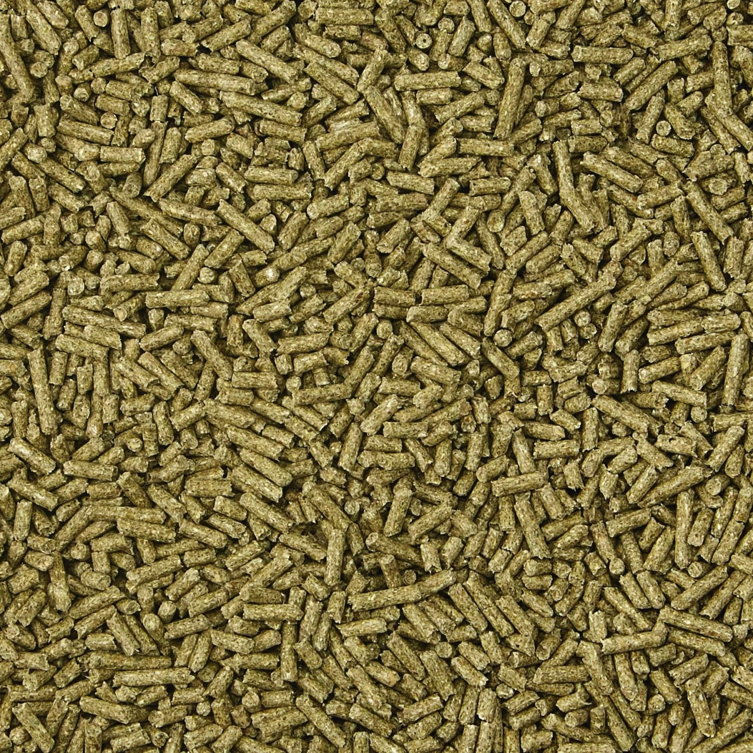 Kaytee Timothy Complete Chinchilla Food 3 Kaytee Timothy Complete Chinchilla Food - Image 3