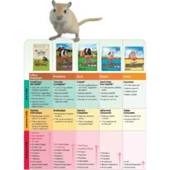 Kaytee Timothy Complete Chinchilla Food 12 Kaytee Timothy Complete Chinchilla Food -MiniMates Shop 95598 PT4. AC SS1800 V1613085387