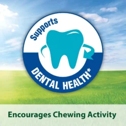 Kaytee Timothy Complete Guinea Pig Food -MiniMates Shop 95600 PT2. AC SS1800 V1591018081