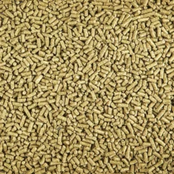 Kaytee Timothy Complete Guinea Pig Food -MiniMates Shop 95600 PT6. AC SS1800 V1591018093