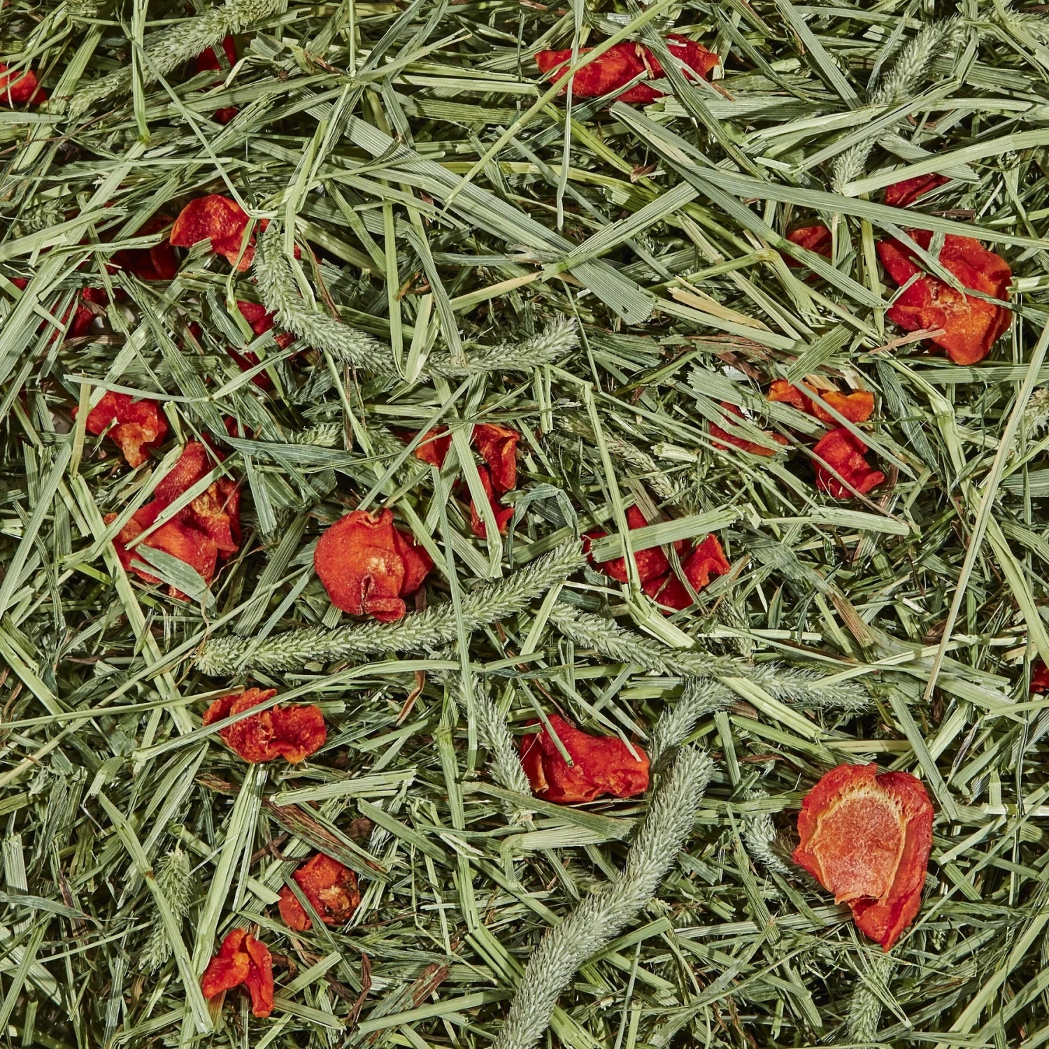 Kaytee Timothy Hay Plus Carrots Small Animal Food 2 Kaytee Timothy Hay Plus Carrots Small Animal Food - Image 2