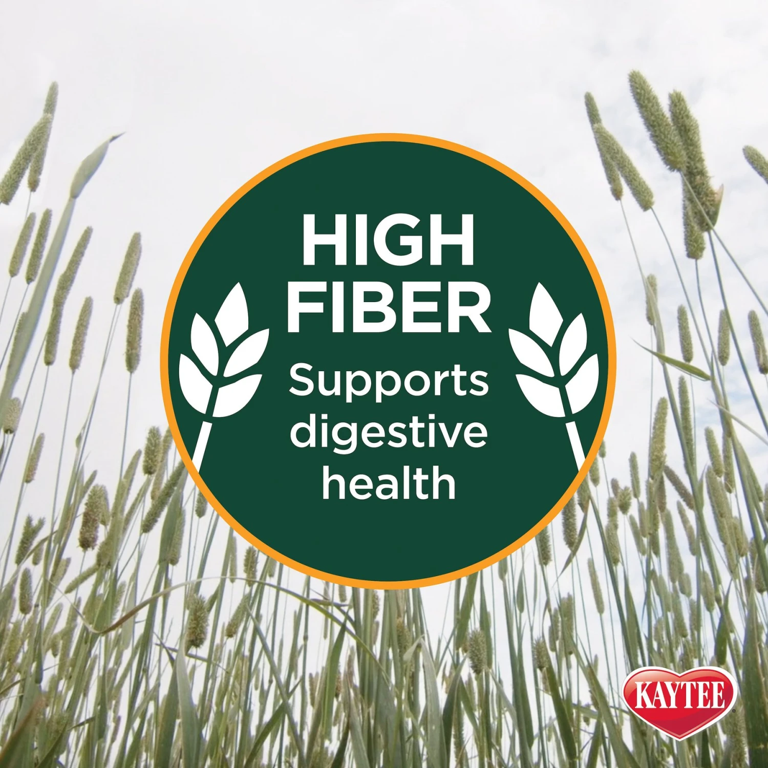 Kaytee Timothy Hay Plus Carrots Small Animal Food 7 Kaytee Timothy Hay Plus Carrots Small Animal Food - Image 7