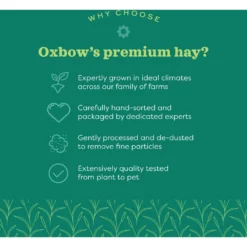 Oxbow Alfalfa Hay Small Animal Food -MiniMates Shop 95968 PT5. AC SS1800 V1661823977