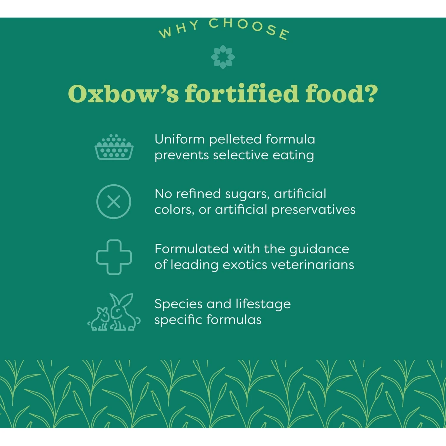 Oxbow Organic Bounty Adult Rabbit Food 9 Oxbow Organic Bounty Adult Rabbit Food - Image 9