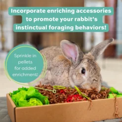 Oxbow Essentials Adult Rabbit Food -MiniMates Shop 95990 PT4. AC SS1800 V1661823780