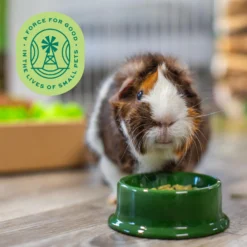 Oxbow Essentials Cavy Cuisine Adult Guinea Pig Food -MiniMates Shop 95994 PT3. AC SS1800 V1661823834