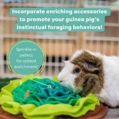 Oxbow Essentials Cavy Cuisine Adult Guinea Pig Food -MiniMates Shop 95994 PT5. AC SS1800 V1661824287