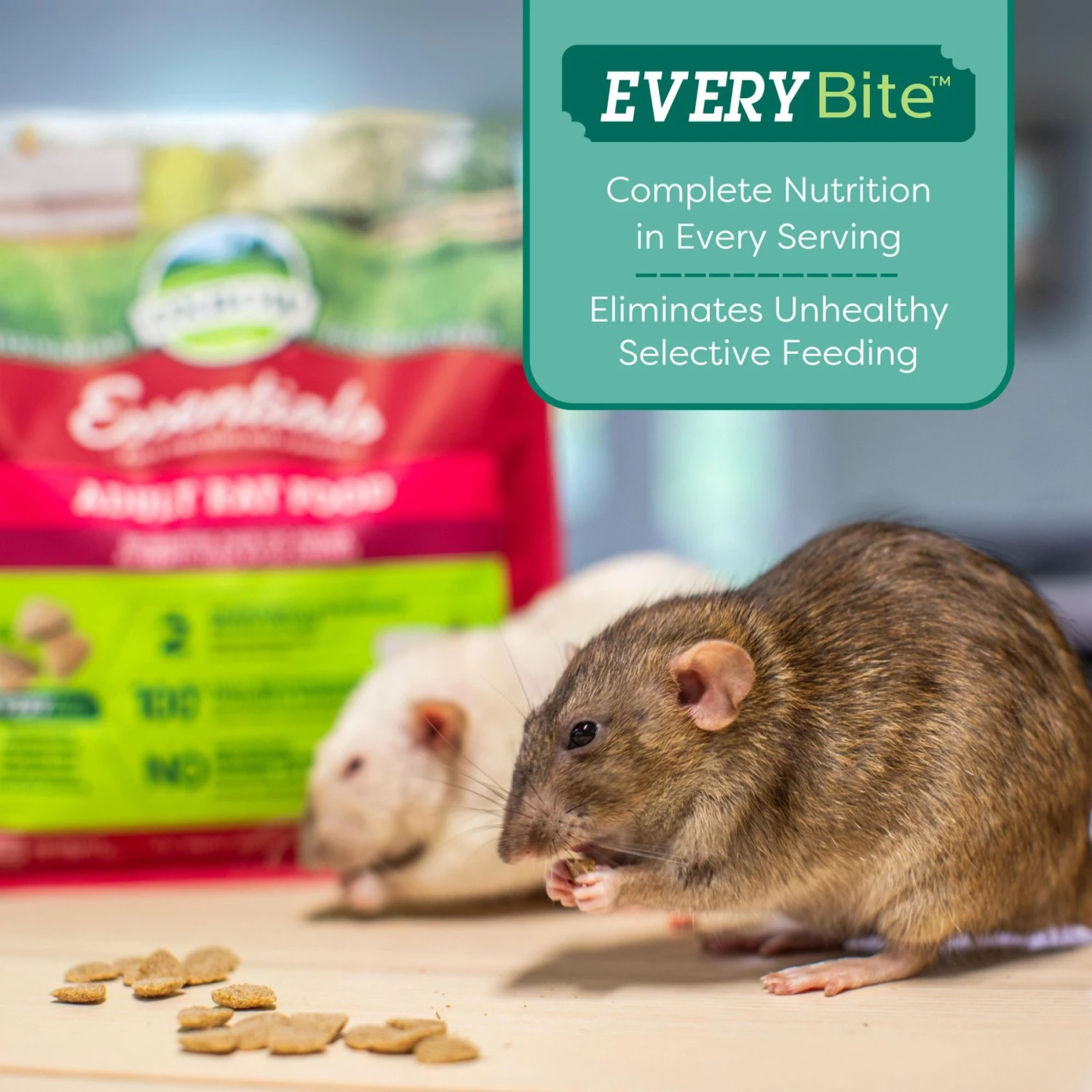 Oxbow Essentials Regal Rat Adult Rat Food 6 Oxbow Essentials Regal Rat Adult Rat Food - Image 6