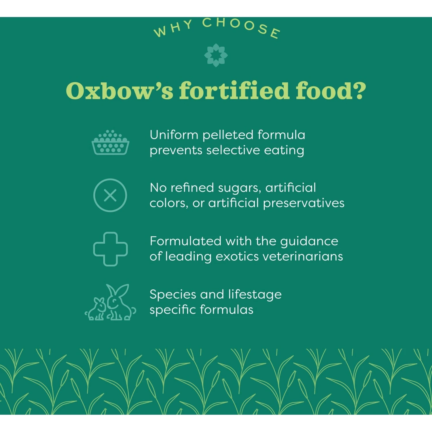 Oxbow Essentials Regal Rat Adult Rat Food 8 Oxbow Essentials Regal Rat Adult Rat Food - Image 8