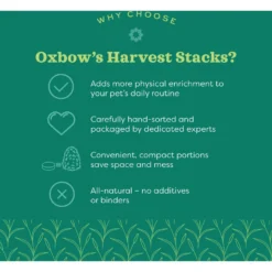 Oxbow Animal Health Harvest Hay Stacks Western Timothy Hay All Natural Hay For Rabbits, Guinea Pigs, Chinchillas, Hamsters & Gerbils -MiniMates Shop 96013 PT4. AC SS1800 V1661823778