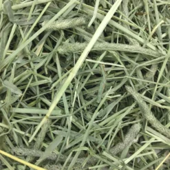 Oxbow Animal Health Harvest Hay Stacks Western Timothy Hay With Carrots All Natural Hay For Rabbits, Guinea Pigs, Chinchillas, Hamsters & Gerbils 17 Oxbow Animal Health Harvest Hay Stacks Western Timothy Hay With Carrots All Natural Hay For Rabbits, Guinea Pigs, Chinchillas, Hamsters & Gerbils -MiniMates Shop 96015 PT8. AC SS1800 V1661824201